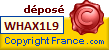 dépot copyright